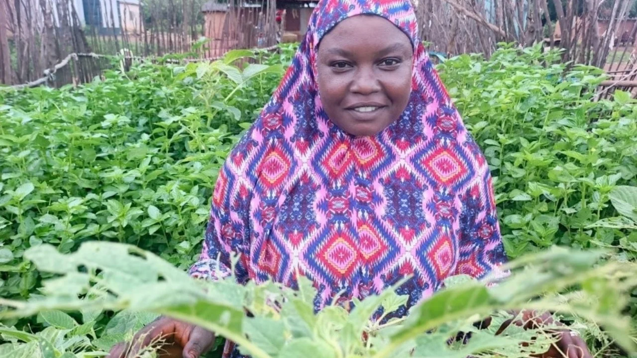 Murijana in her nutri-garden 2
